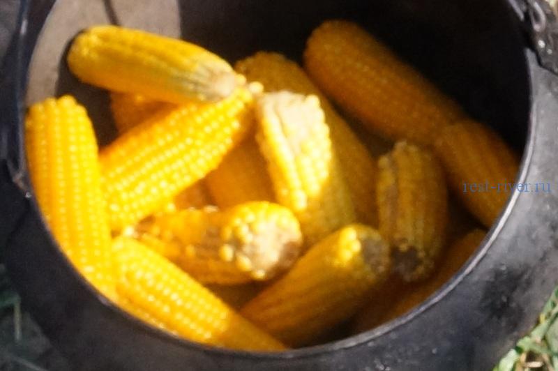 рецепт кукурузы - фото сваренных пачатков