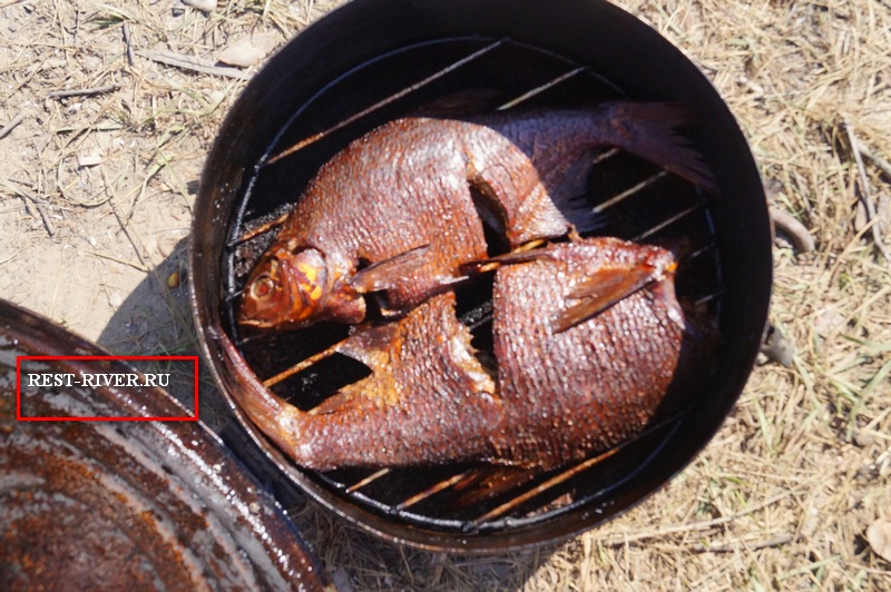 фото переносная коптильня горячего копчения с рыбой