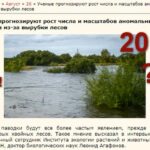 Дождевой паводок и вырубка лесов. Наводнение в Иркутской области 2019 года